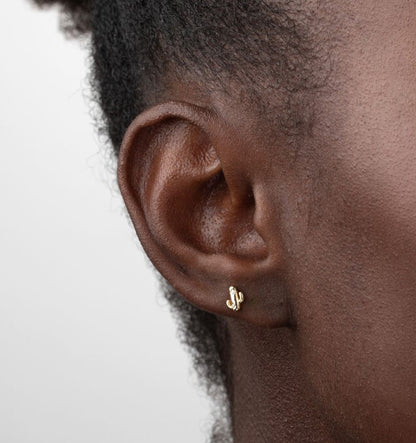 Pendientes Cactus